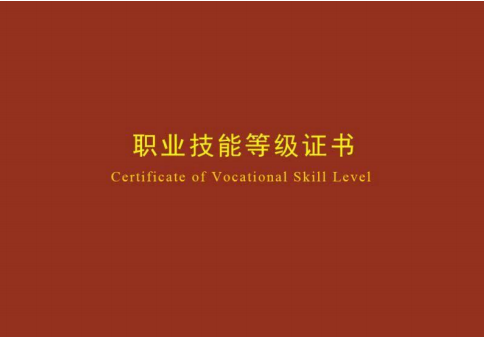 完善技能人才评价制度：推动职业技能等级认定